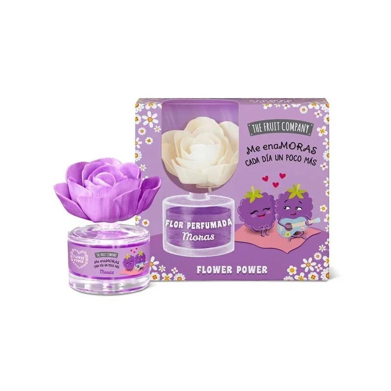 Coffret diffuseur d'ambiance Fleur Mikado Mûre