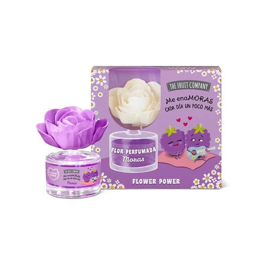 Coffret diffuseur d'ambiance Fleur Mikado Mûre